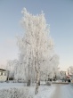 Архангельскую область ждут арктические морозы. С понедельника, 11 января, столбики термометра по ночам могут опускаться до отметки -40 градусов